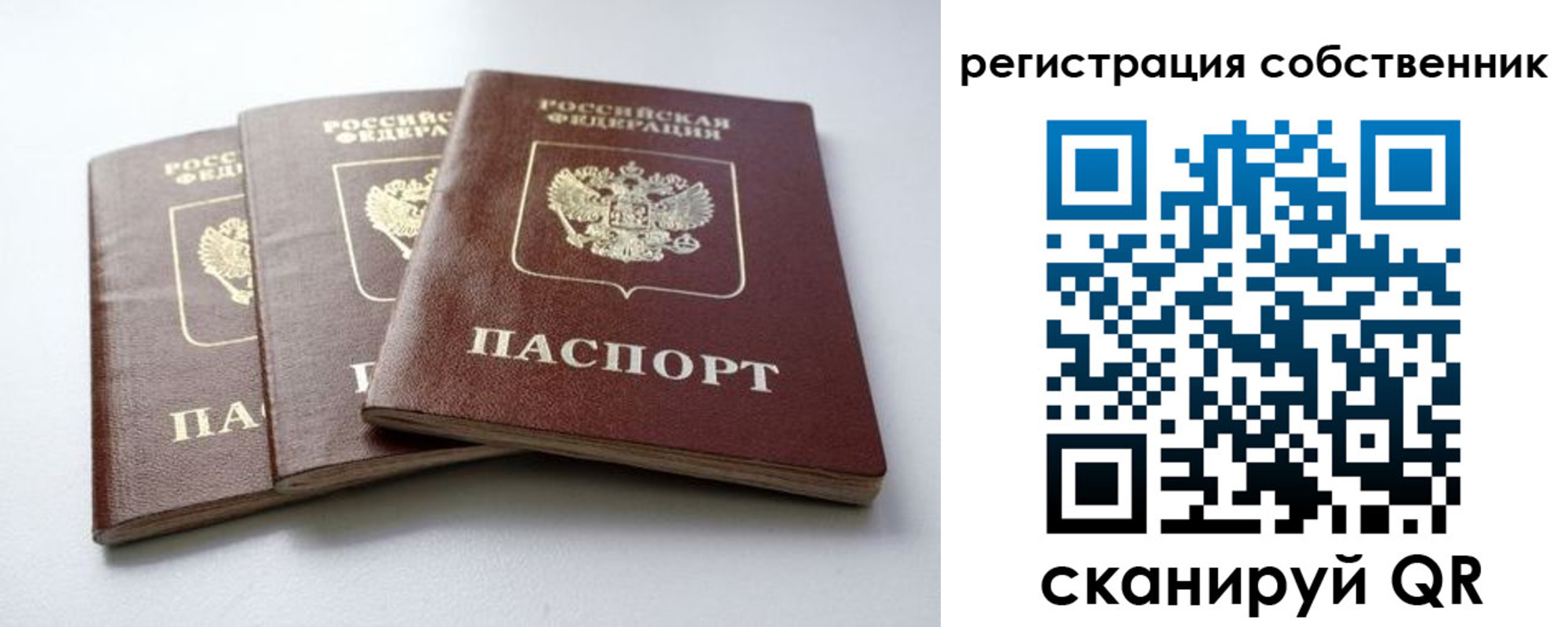 прописка для школы в Трубчевске
